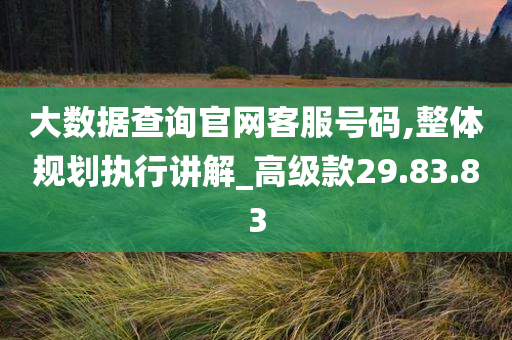 大数据查询官网客服号码,整体规划执行讲解_高级款29.83.83