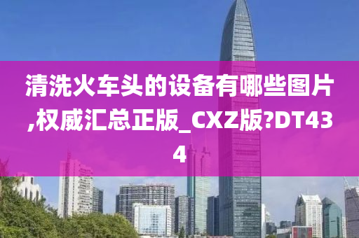 CXZ正版