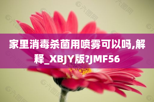 家里消毒杀菌用喷雾可以吗,解释_XBJY版?JMF56