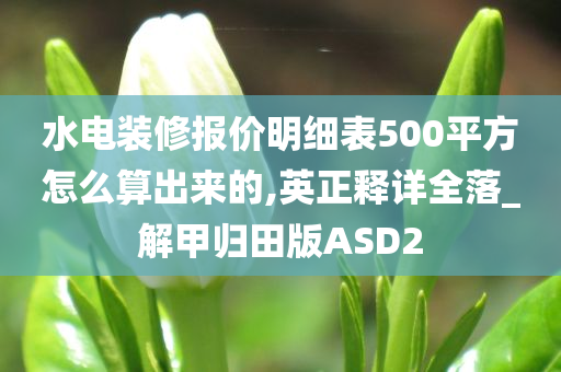 水电装修报价明细表500平方怎么算出来的,英正释详全落_解甲归田版ASD2