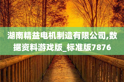 湖南精益电机制造有限公司,数据资料游戏版_标准版7876