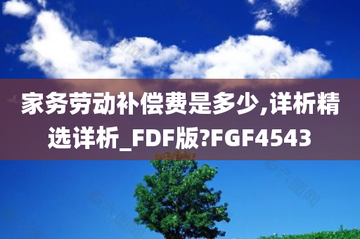 家务劳动补偿费是多少,详析精选详析_FDF版?FGF4543