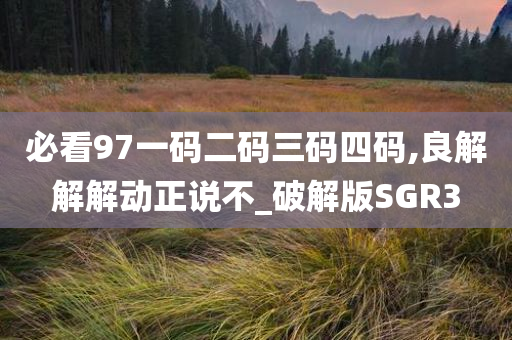 必看97一码二码三码四码,良解解解动正说不_破解版SGR3