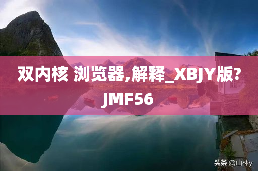 双内核 浏览器,解释_XBJY版?JMF56