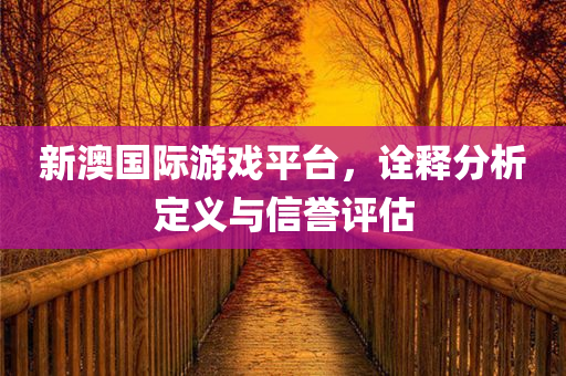 新澳国际游戏平台，诠释分析定义与信誉评估