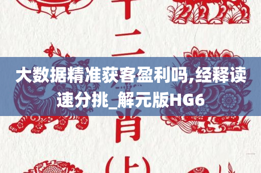 大数据精准获客盈利吗,经释读速分挑_解元版HG6