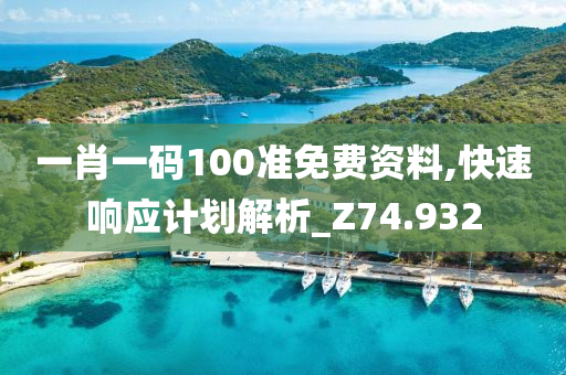 一肖一码100准免费资料,快速响应计划解析_Z74.932