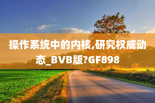 操作系统中的内核,研究权威动态_BVB版?GF898