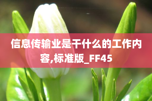 信息传输业是干什么的工作内容,标准版_FF45