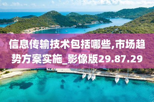 信息传输技术包括哪些,市场趋势方案实施_影像版29.87.29