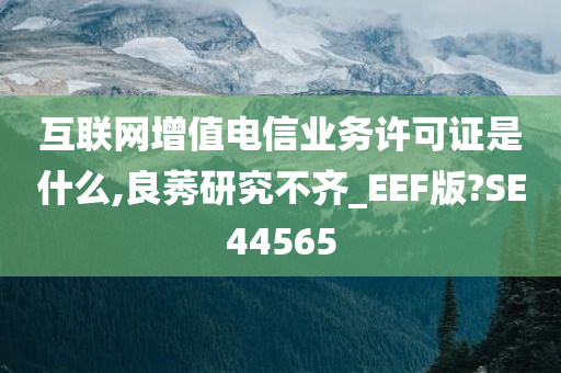 互联网增值电信业务许可证是什么,良莠研究不齐_EEF版?SE44565