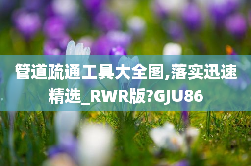 管道疏通工具大全图,落实迅速精选_RWR版?GJU86