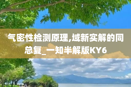 气密性检测原理,域新实解的同总复_一知半解版KY6