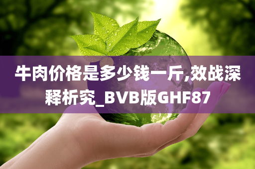 牛肉价格是多少钱一斤,效战深释析究_BVB版GHF87