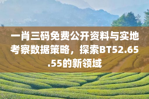 一肖三码免费公开资料与实地考察数据策略，探索BT52.65.55的新领域