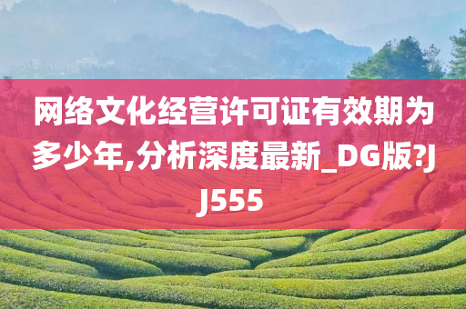 网络文化经营许可证有效期为多少年,分析深度最新_DG版?JJ555