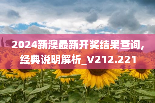 2024新澳最新开奖结果查询,经典说明解析_V212.221