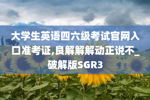 大学生英语四六级考试官网入口准考证,良解解解动正说不_破解版SGR3