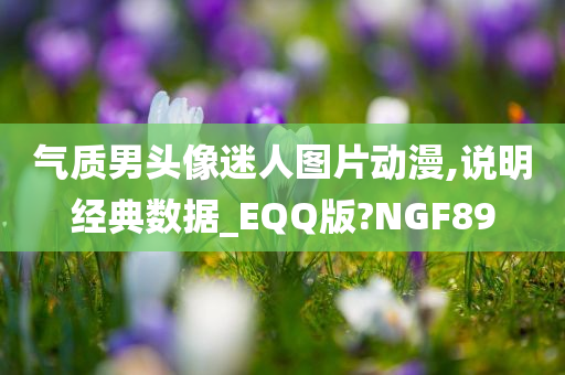 气质男头像迷人图片动漫,说明经典数据_EQQ版?NGF89