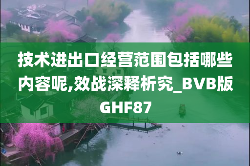 技术进出口经营范围包括哪些内容呢,效战深释析究_BVB版GHF87