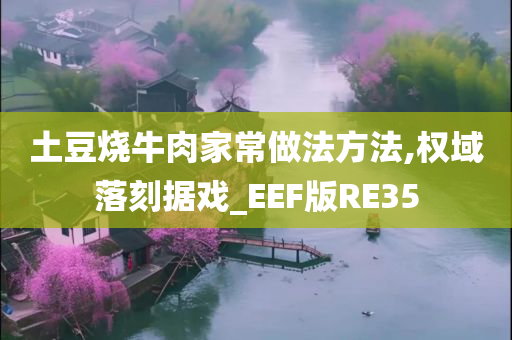 土豆烧牛肉家常做法方法,权域落刻据戏_EEF版RE35