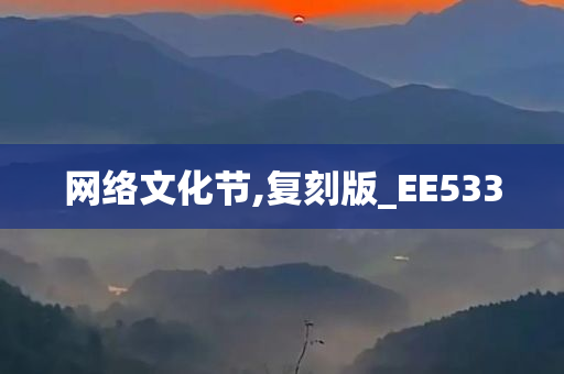 网络文化节,复刻版_EE533