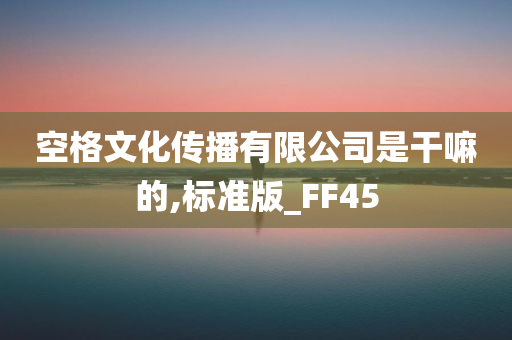 空格文化传播有限公司是干嘛的,标准版_FF45