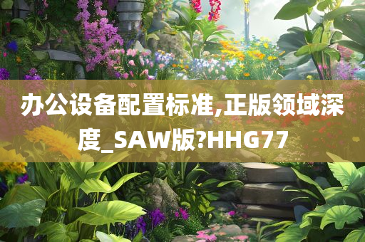 办公设备配置标准,正版领域深度_SAW版?HHG77