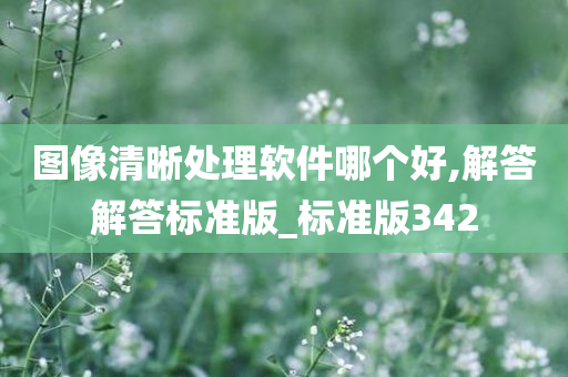 图像清晰处理软件哪个好,解答解答标准版_标准版342