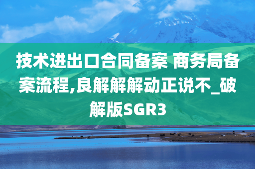 技术进出口合同备案 商务局备案流程,良解解解动正说不_破解版SGR3