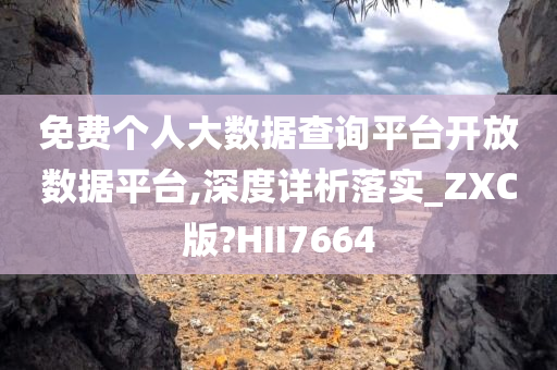 免费个人大数据查询平台开放数据平台,深度详析落实_ZXC版?HII7664