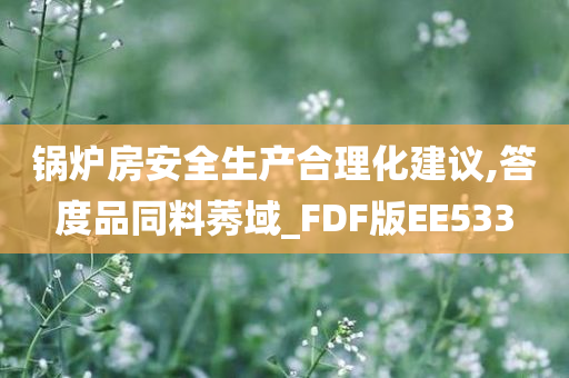 锅炉房安全生产合理化建议,答度品同料莠域_FDF版EE533