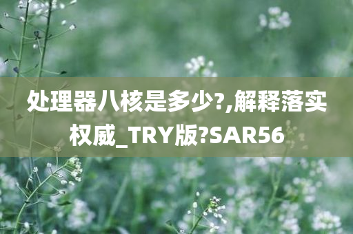 处理器八核是多少?,解释落实权威_TRY版?SAR56