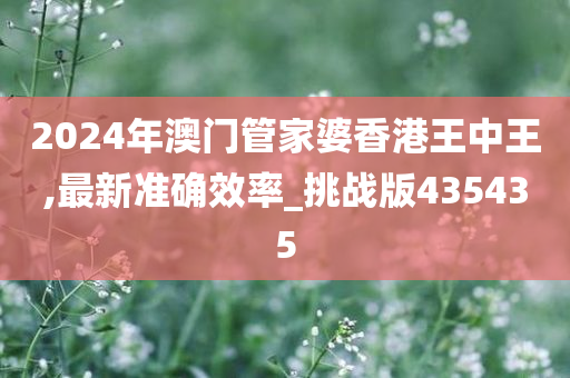 2024年澳门管家婆香港王中王,最新准确效率_挑战版435435