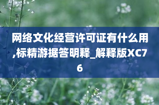 网络文化经营许可证有什么用,标精游据答明释_解释版XC76