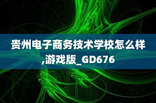 贵州电子商务技术学校怎么样,游戏版_GD676