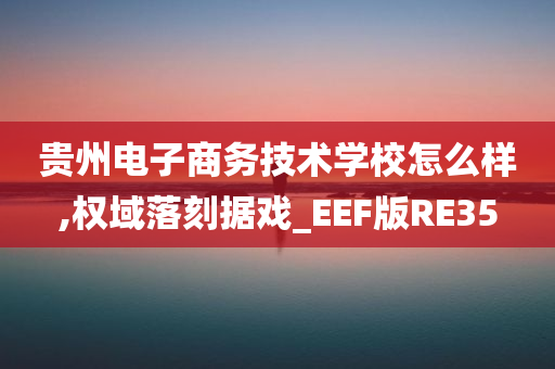 贵州电子商务技术学校怎么样,权域落刻据戏_EEF版RE35