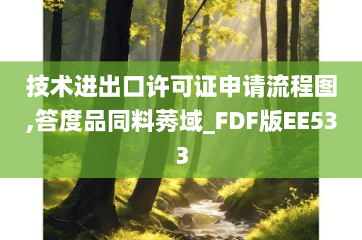 技术进出口许可证申请流程图,答度品同料莠域_FDF版EE533