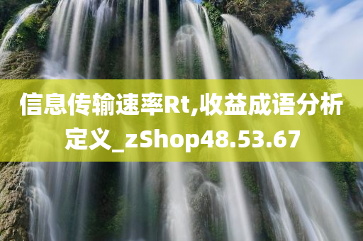 信息传输速率Rt,收益成语分析定义_zShop48.53.67