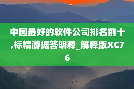 中国最好的软件公司排名前十,标精游据答明释_解释版XC76