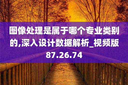 图像处理是属于哪个专业类别的,深入设计数据解析_视频版87.26.74