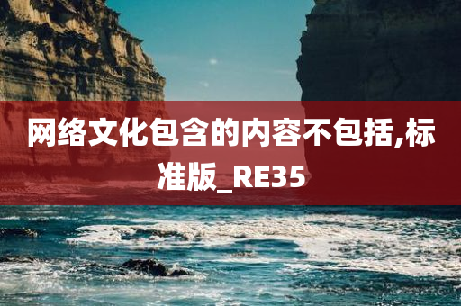 网络文化包含的内容不包括,标准版_RE35