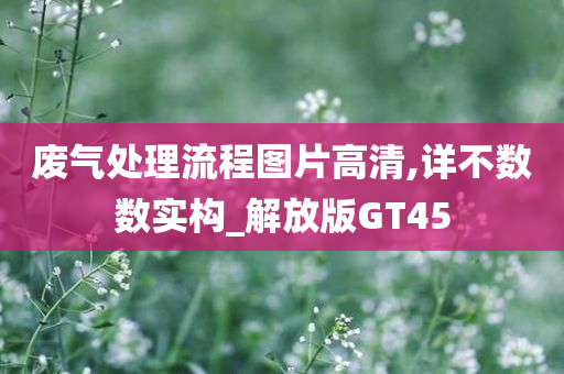 废气处理流程图片高清,详不数数实构_解放版GT45