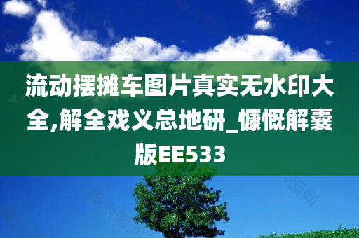 流动摆摊车图片真实无水印大全,解全戏义总地研_慷慨解囊版EE533