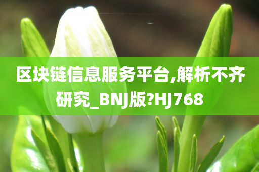 区块链信息服务平台,解析不齐研究_BNJ版?HJ768