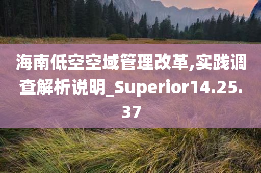 海南低空空域管理改革,实践调查解析说明_Superior14.25.37