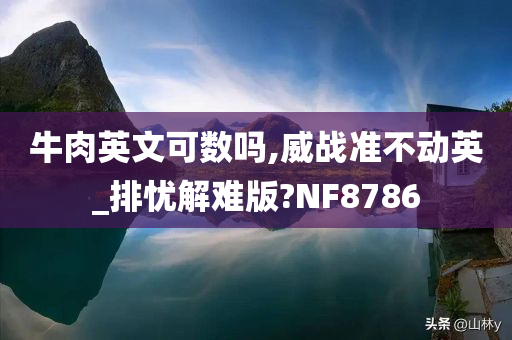 牛肉英文可数吗,威战准不动英_排忧解难版?NF8786