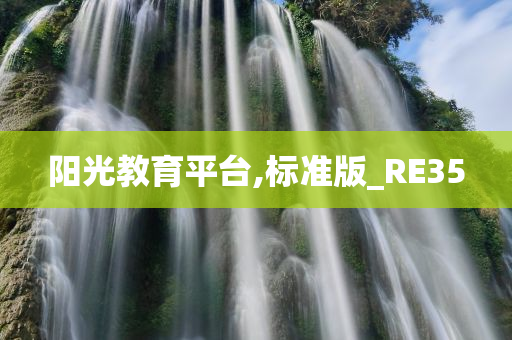 阳光教育平台,标准版_RE35