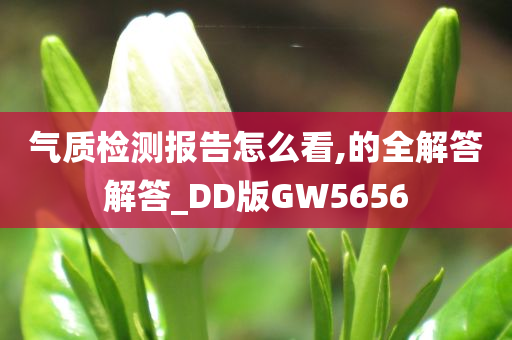 气质检测报告怎么看,的全解答解答_DD版GW5656