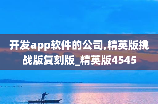 开发app软件的公司,精英版挑战版复刻版_精英版4545